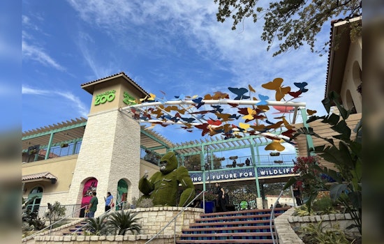 San Antonio Zoo Receives $5 Million Boost from Mays Family Foundation for Transformation Project