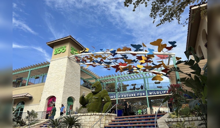San Antonio Zoo Receives $5 Million Boost from Mays Family Foundation for Transformation Project