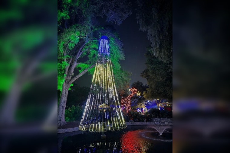 San Antonio Zoo Slashes Entry to $8 in Final 2023 Discount Day