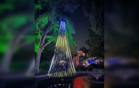 San Antonio Zoo Slashes Entry to $8 in Final 2023 Discount Day