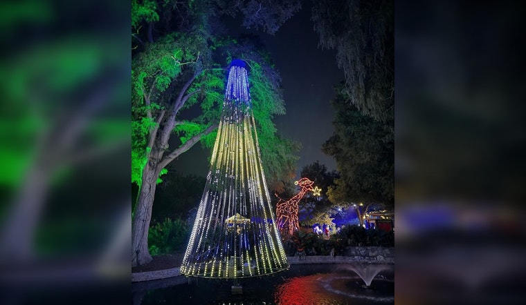 San Antonio Zoo Slashes Entry to $8 in Final 2023 Discount Day