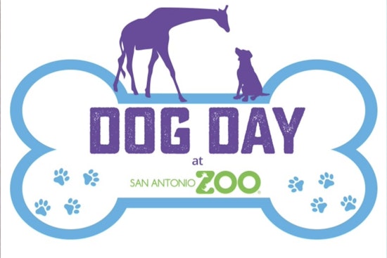 San Antonio Zoo Welcomes Canine Companions for 'Dog Day at Zoo Lights' Event