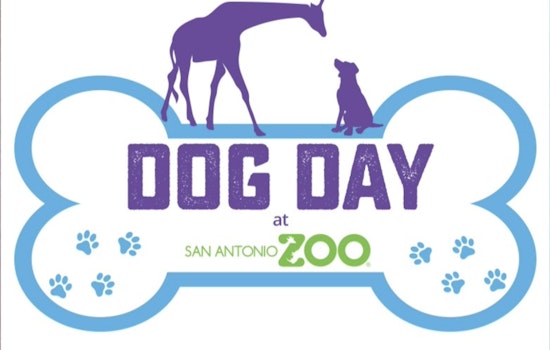 San Antonio Zoo Welcomes Canine Companions for 'Dog Day at Zoo Lights' Event