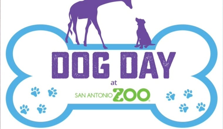 San Antonio Zoo Welcomes Canine Companions for 'Dog Day at Zoo Lights' Event