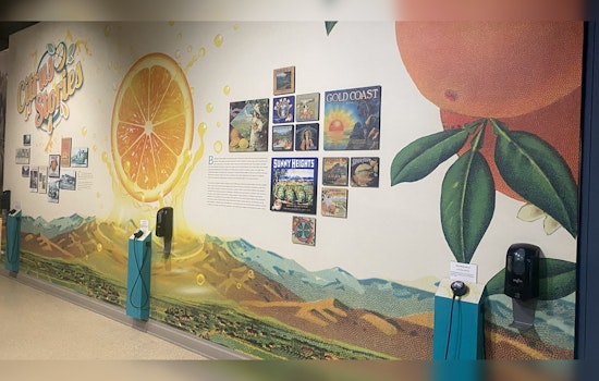San Bernardino Teams Up With Museum for Citrus Protection Crusade Against Invasive Pests