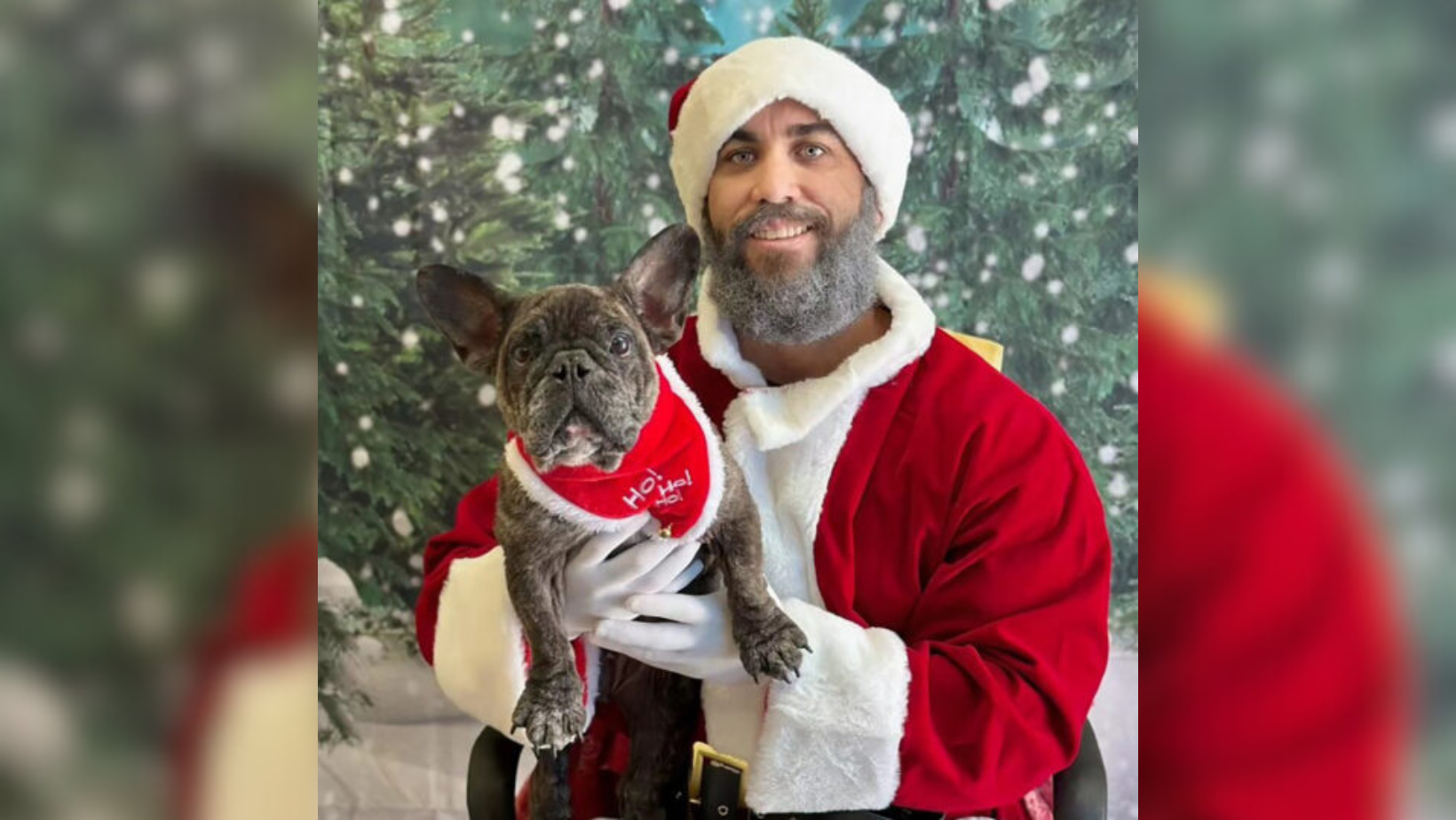 san-diego-celebrates-critter-christmas-county-waives-pet-adoption