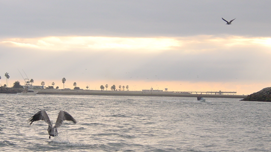 San Diego Fire Department Announces New Year's Mission Bay Channel Closure Due to High Surf