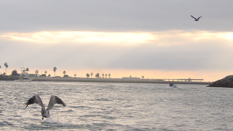 San Diego Fire Department Announces New Year's Mission Bay Channel Closure Due to High Surf