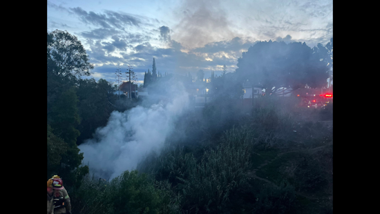 San Diego Fire Department Swiftly Contains Brush Fire in North Park, Protects Local Homes