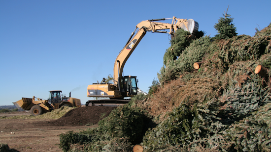 San Diego's 50th Annual Christmas Tree Recycling Program Provides Eco-Friendly Disposal Options