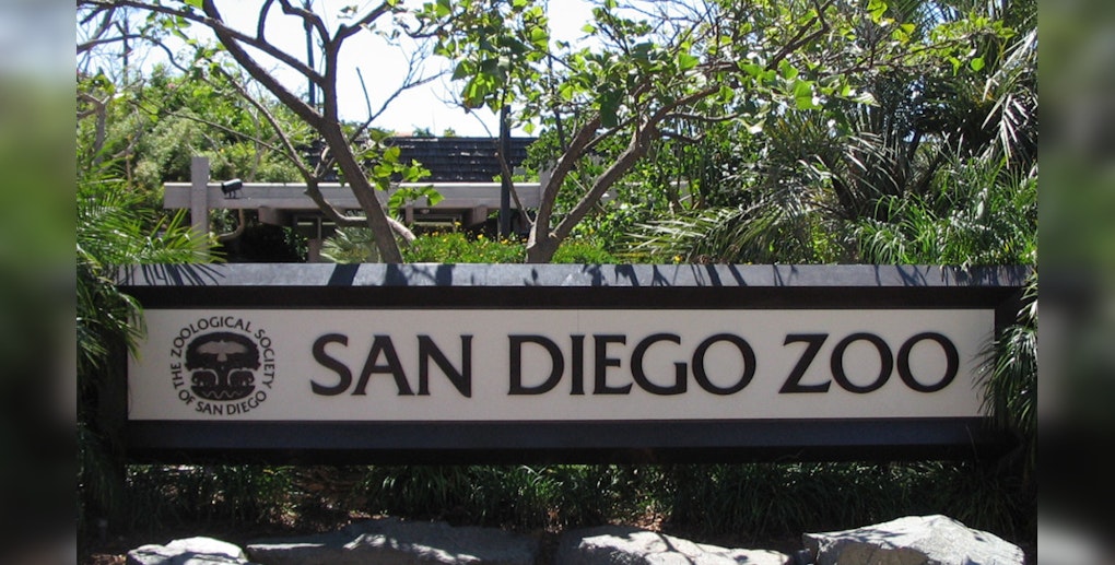 San Diego's Frozen Zoo Chills With 11 Thousand Species