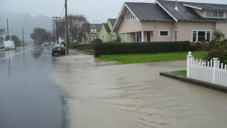 San Francisco Bay Area Faces Wind Advisory and Flood Alerts Amid Severe Weather Conditions