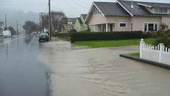 San Francisco Bay Area Faces Wind Advisory and Flood Alerts Amid Severe Weather Conditions