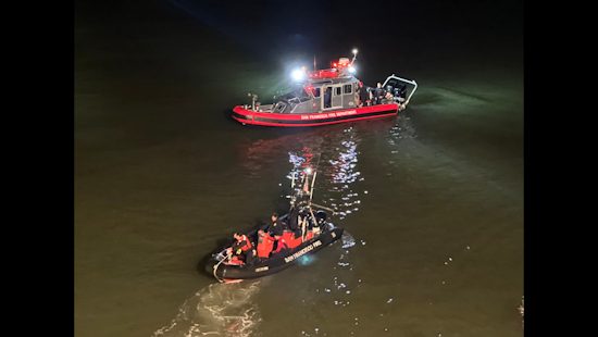 San Francisco Fire Department Heroically Rescues Dog After 80-Foot Fall at Fort Mason