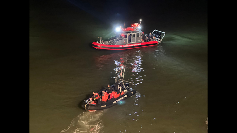 San Francisco Fire Department Heroically Rescues Dog After 80-Foot Fall at Fort Mason