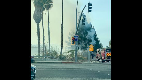 San Jose Firefighters Quickly Contain I-280 Vegetation Fire, No Structures Harmed
