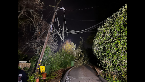 San Rafael Hit by Yuletide Blackouts Caused by Fallen Tree on Vineyard Drive