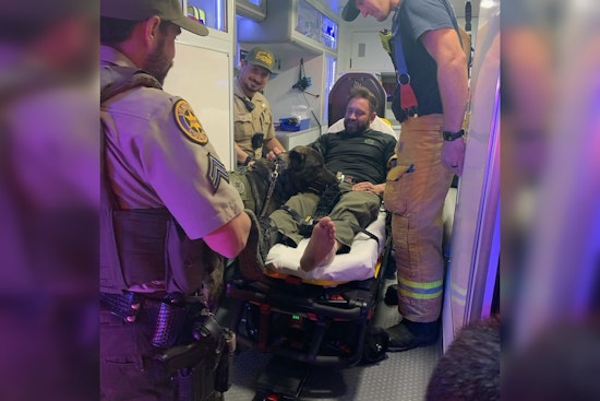 Santa Paula Man Charged with Felony DUI in Crash Injuring Sheriff's Deputy and K9 on Pacific Coast Highway