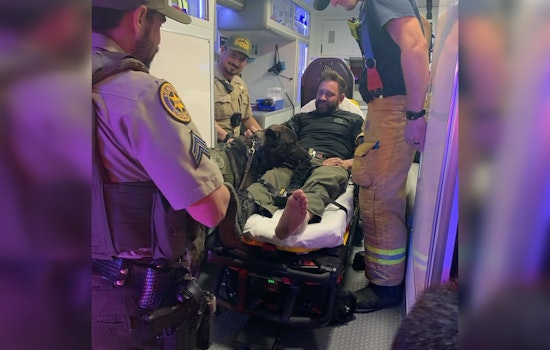 Santa Paula Man Charged with Felony DUI in Crash Injuring Sheriff's Deputy and K9 on Pacific Coast Highway