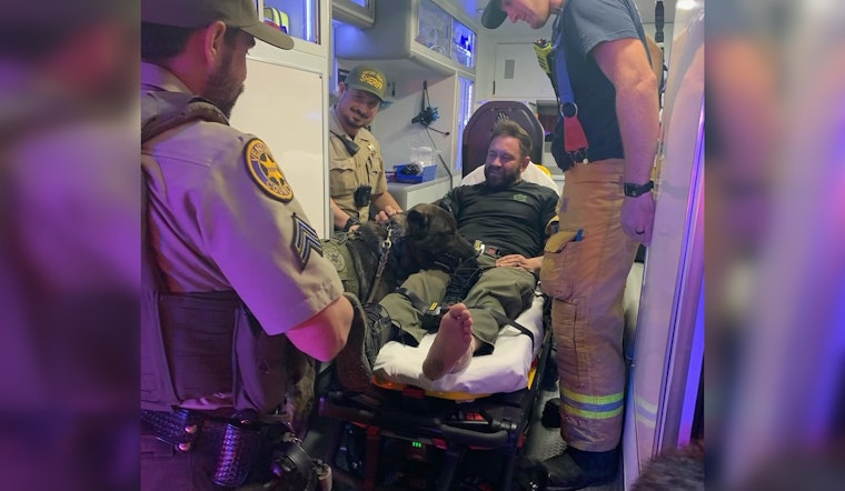 Santa Paula Man Charged with Felony DUI in Crash Injuring Sheriff's Deputy and K9 on Pacific Coast Highway