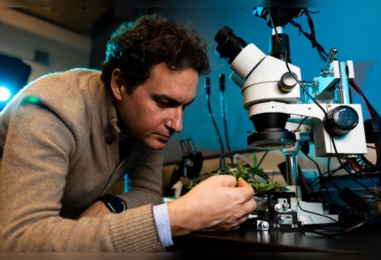 MIT's Benedetto Marelli Merges Silk Science with Sustainability for Food Preservation