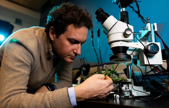 MIT's Benedetto Marelli Merges Silk Science with Sustainability for Food Preservation