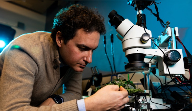 MIT's Benedetto Marelli Merges Silk Science with Sustainability for Food Preservation
