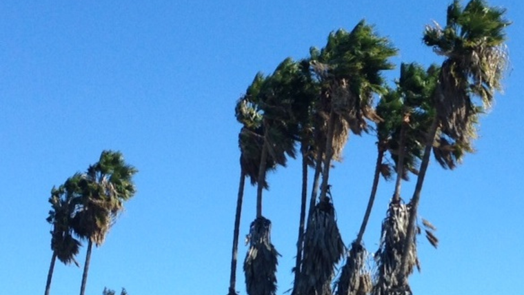 Southern California Braces as Santa Ana Winds Surge, Prompting Fire Weather Watch Across Inland Empire