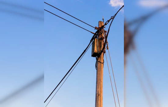 Squirrel-Induced Blackouts Plague Austin Residents