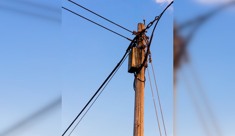Squirrel-Induced Blackouts Plague Austin Residents
