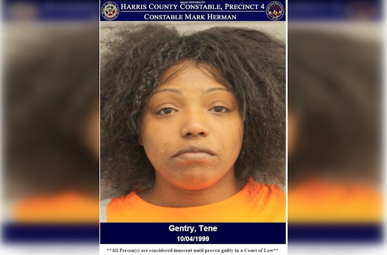 Suspected Felony Assailant Tene Gentry Arrested in Harris County Upon Disturbance Call
