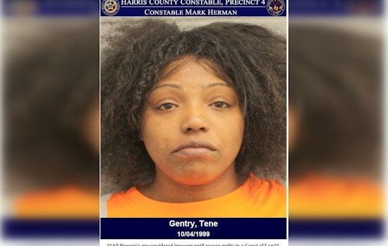 Suspected Felony Assailant Tene Gentry Arrested in Harris County Upon Disturbance Call