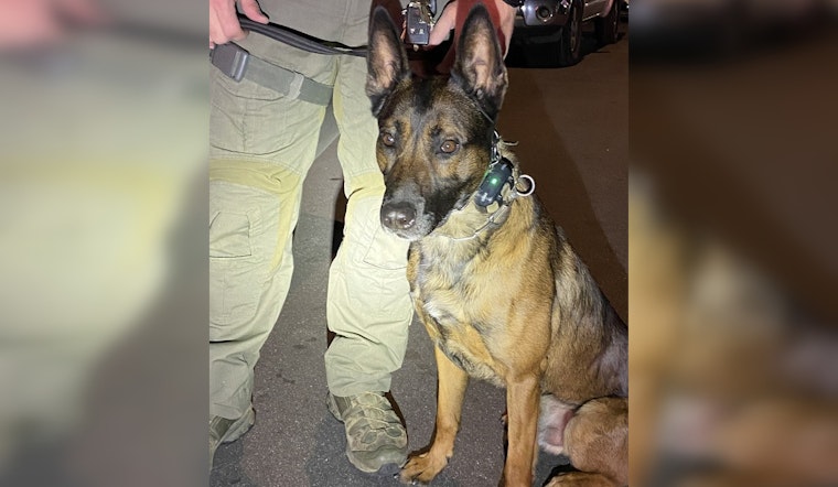 SWAT Team and Heroic Canine Secure Armed Suspect in East Los Angeles, Restoring Neighborhood Safety