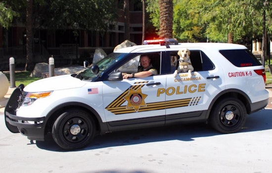 Teen Stabbed in Leg Following Brawl in Rancho Cucamonga Food Court