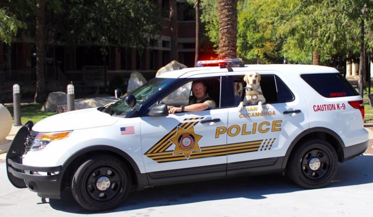 Teen Stabbed in Leg Following Brawl in Rancho Cucamonga Food Court
