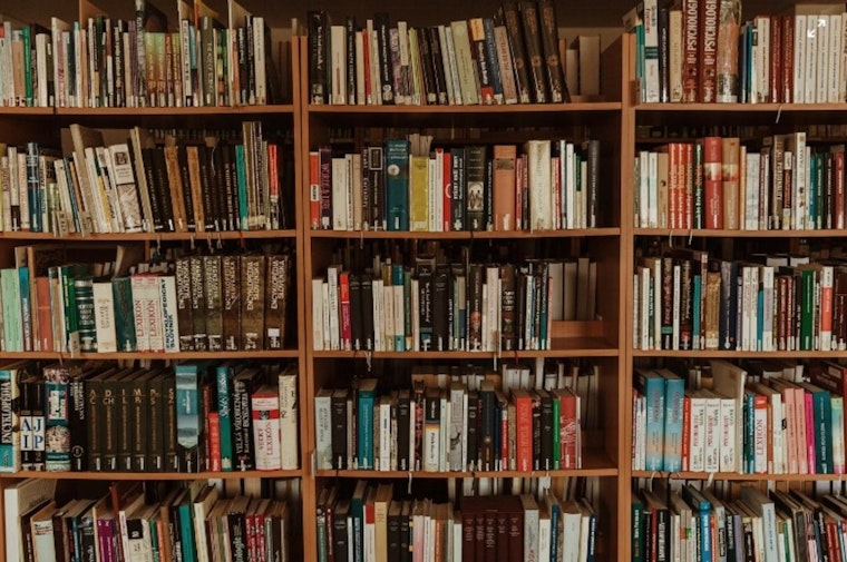 Texas Board of Education Sets New Library Standards Banning 'Sexually Explicit' Content