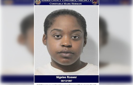 Texas Walmart Shoplifting Incident Escalates, Suspect Nigelle Rowser Charged