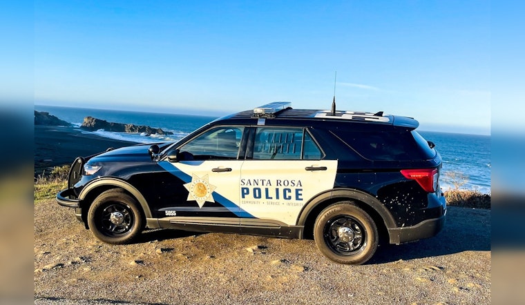 Three Teens Cuffed, "Ghost Gun" Seized Amid Gang Melee in Santa Rosa