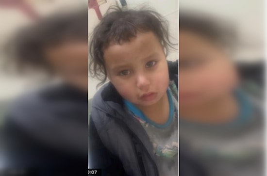 Toddler Goes Solo on Chicago Streets, Cops Plead for Help to Find Family