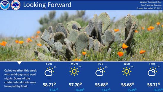Tranquil Weather Ahead for New Yorkers and San Franciscans, Mild and Sunny Conditions Expected