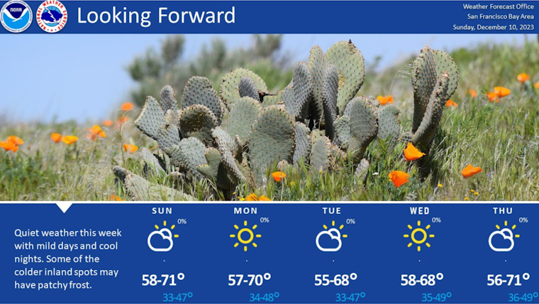 Tranquil Weather Ahead for New Yorkers and San Franciscans, Mild and Sunny Conditions Expected