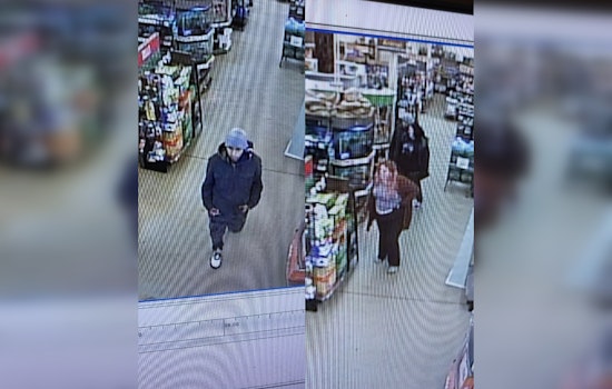 Trio Suspected of Slithering Off With Boa Constrictor from Westford Petco