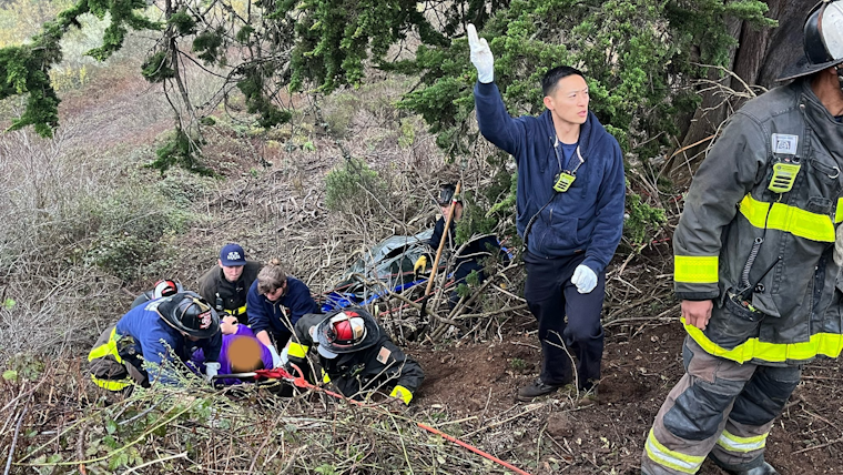 Two Rescued After Vehicle Plunges Down Embankment in SF's Glen Canyon Park