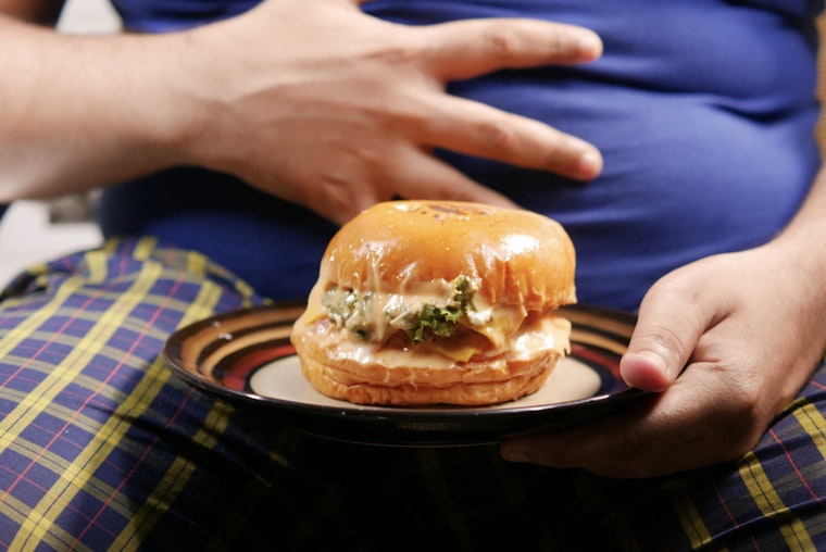 Ultra-Processed Foods in the Spotlight as Harvard Panel Links Them to U.S. Obesity Crisis