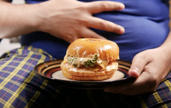 Ultra-Processed Foods in the Spotlight as Harvard Panel Links Them to U.S. Obesity Crisis