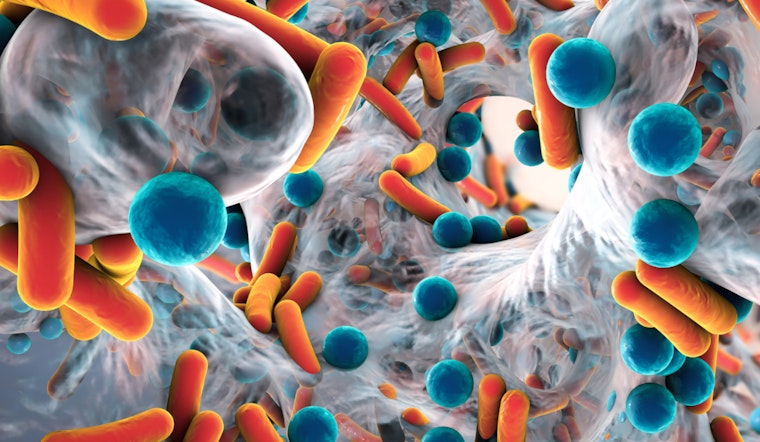 UMass Amherst Scientists' Breakthrough, New Test May Disarm Deadly Superbugs Without Triggering Resistance