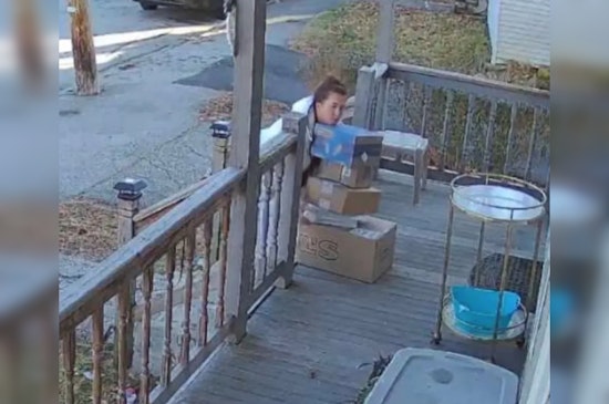 Webster Police Identify Suspected "Ms. Grinch" in Porch Package Theft, Recover Stolen Gifts
