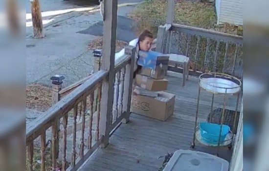 Webster Police Identify Suspected "Ms. Grinch" in Porch Package Theft, Recover Stolen Gifts
