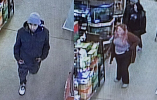 Westford Police on the Hunt for Trio Suspected of Snaking Off With Petco Boa
