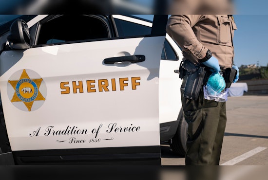 Wild Los Angeles Chase Ends with K-9 Takedown in Long Beach After Rampage Through SoCal Streets